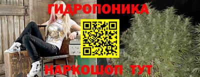 прущая мука Кимры
