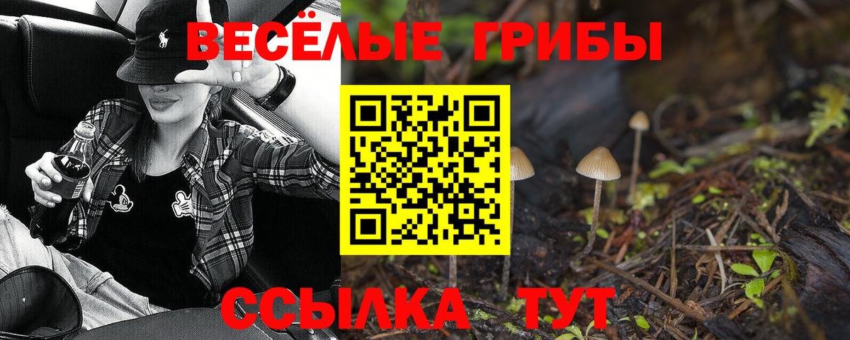 Псилоцибиновые грибы мухоморы Учалы